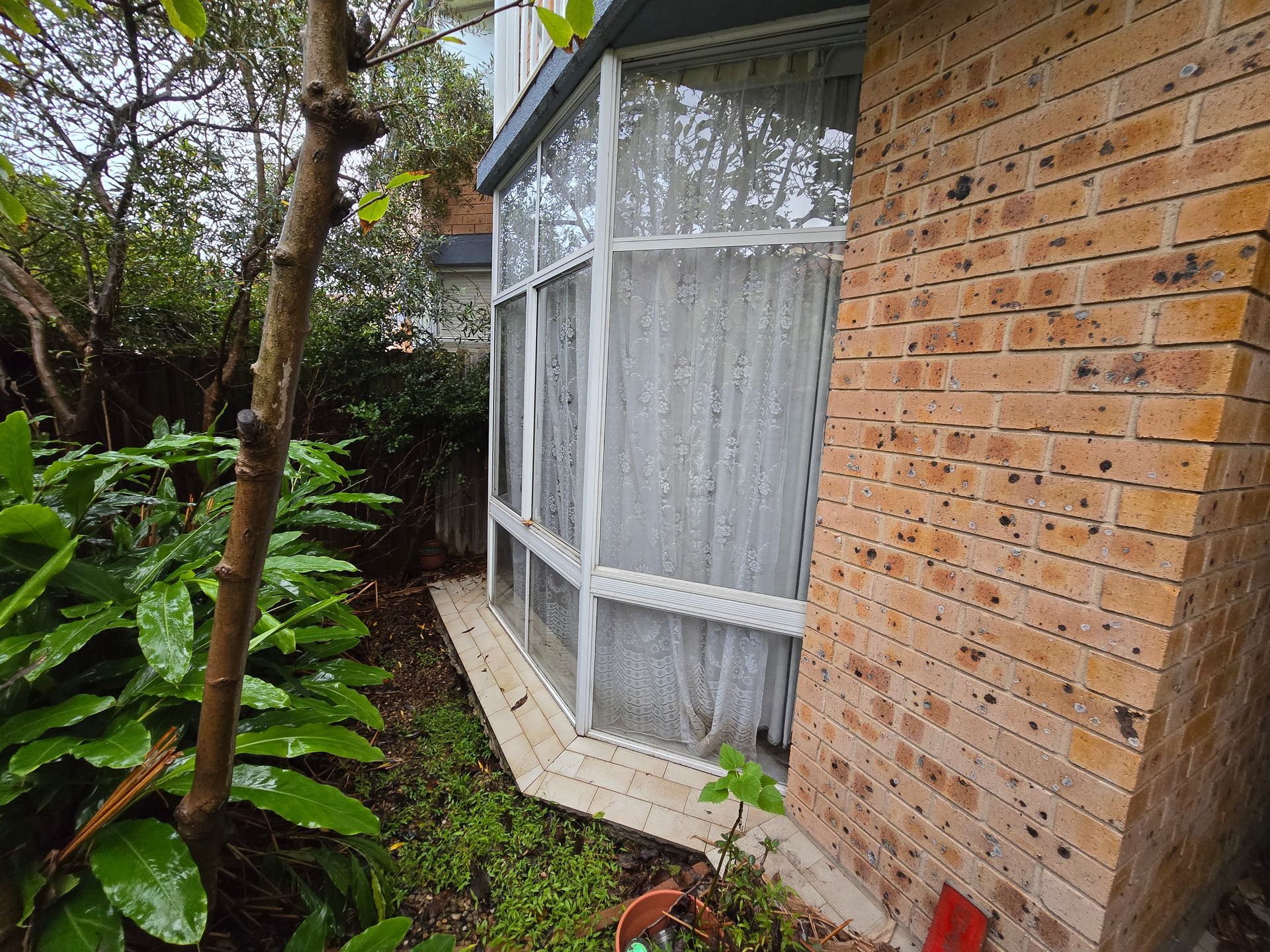 Brick house exterior with a bay window, white curtains, and lush green plants along a narrow side yard