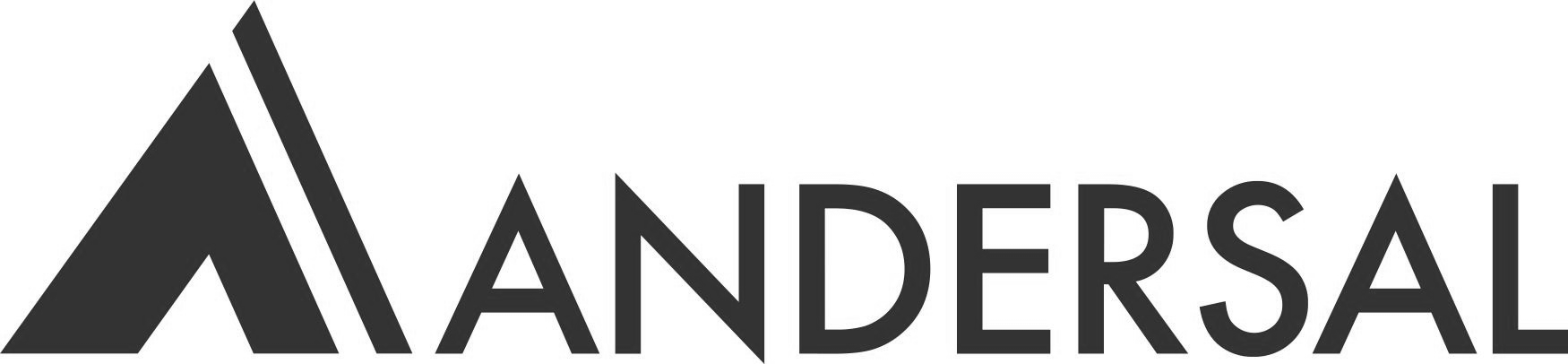 ANDERSAL logo with a stylized black “A” icon and gray uppercase text on a white background