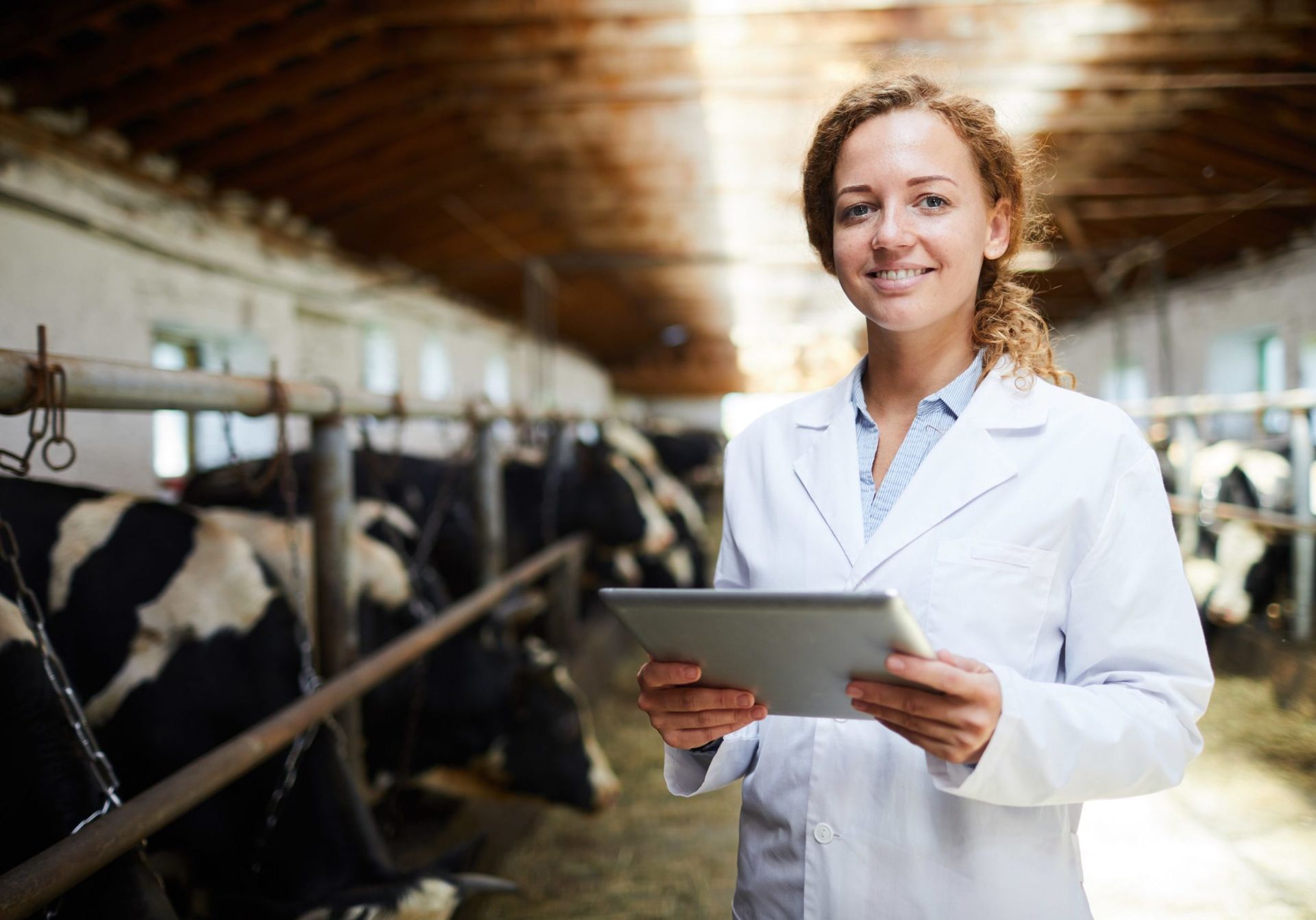 Smiling Veterinarian Working at Farm Smiling Veterinarian