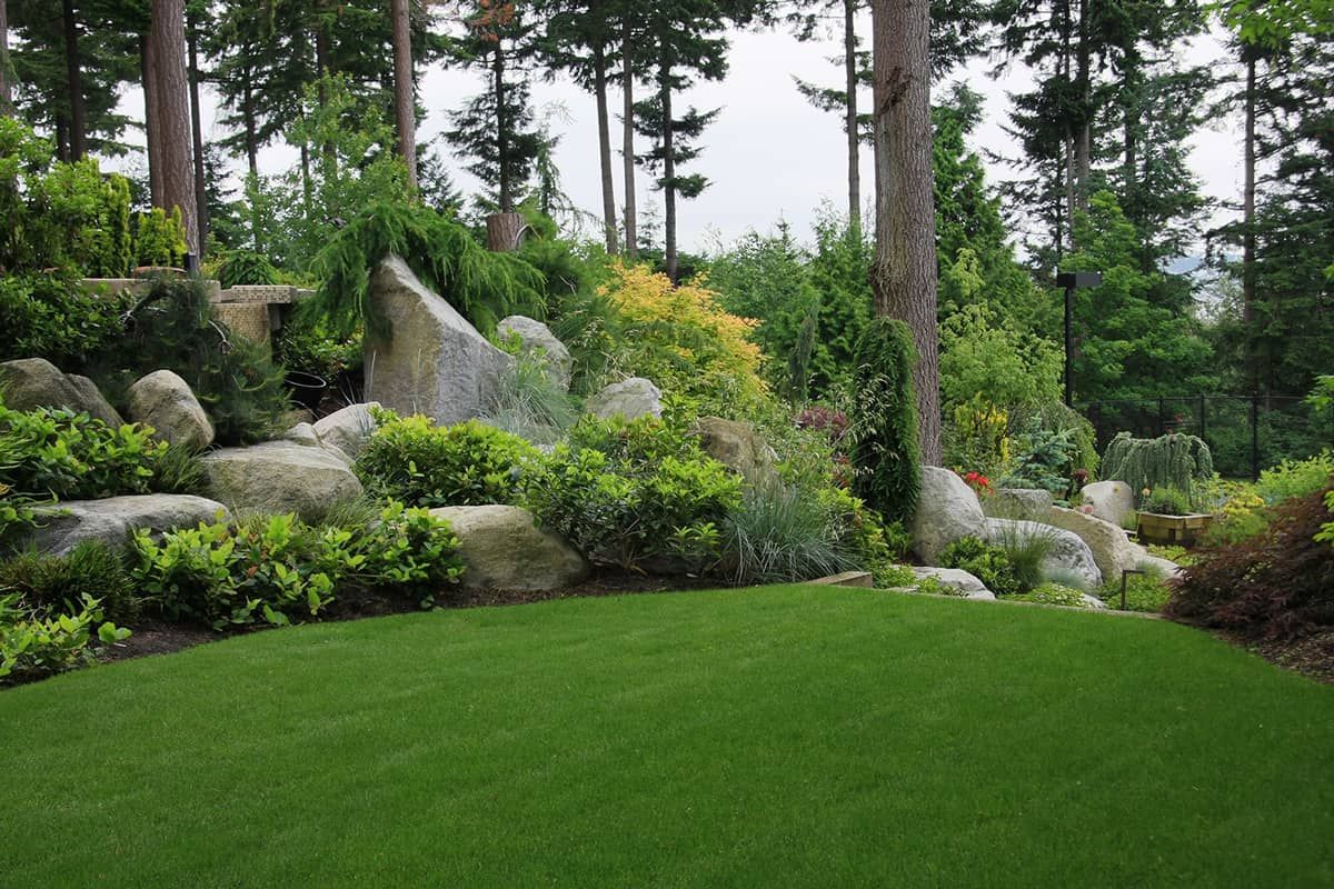Deep Root Feeding