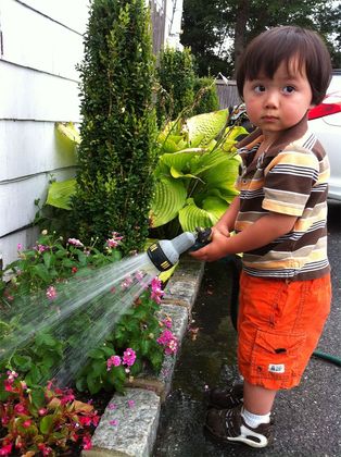 Plantsman of the Year Plantsman of the Year