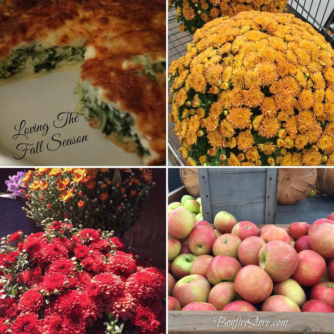 Fall Autumn Seasonal Holiday Gifts