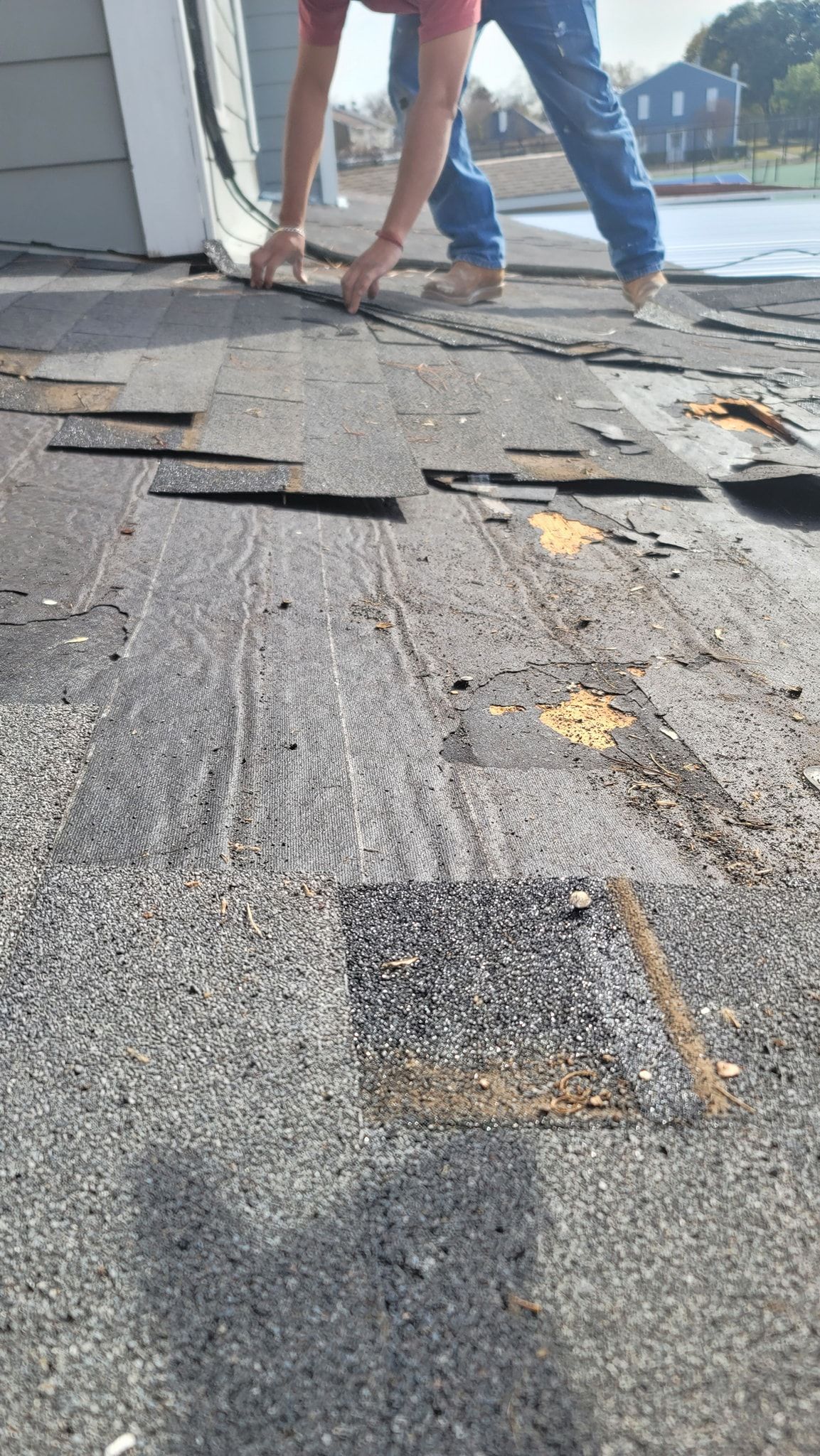Workers replacing roof shingles on a sloped roof with scattered old shingles and tools nearby