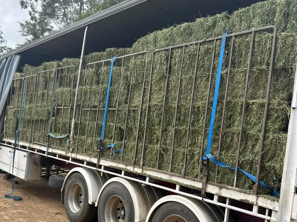 Trailer Loaded With Stacked Green Branches, Secured by Blue Straps — Western Pacific Operations in Kremnos, NSW