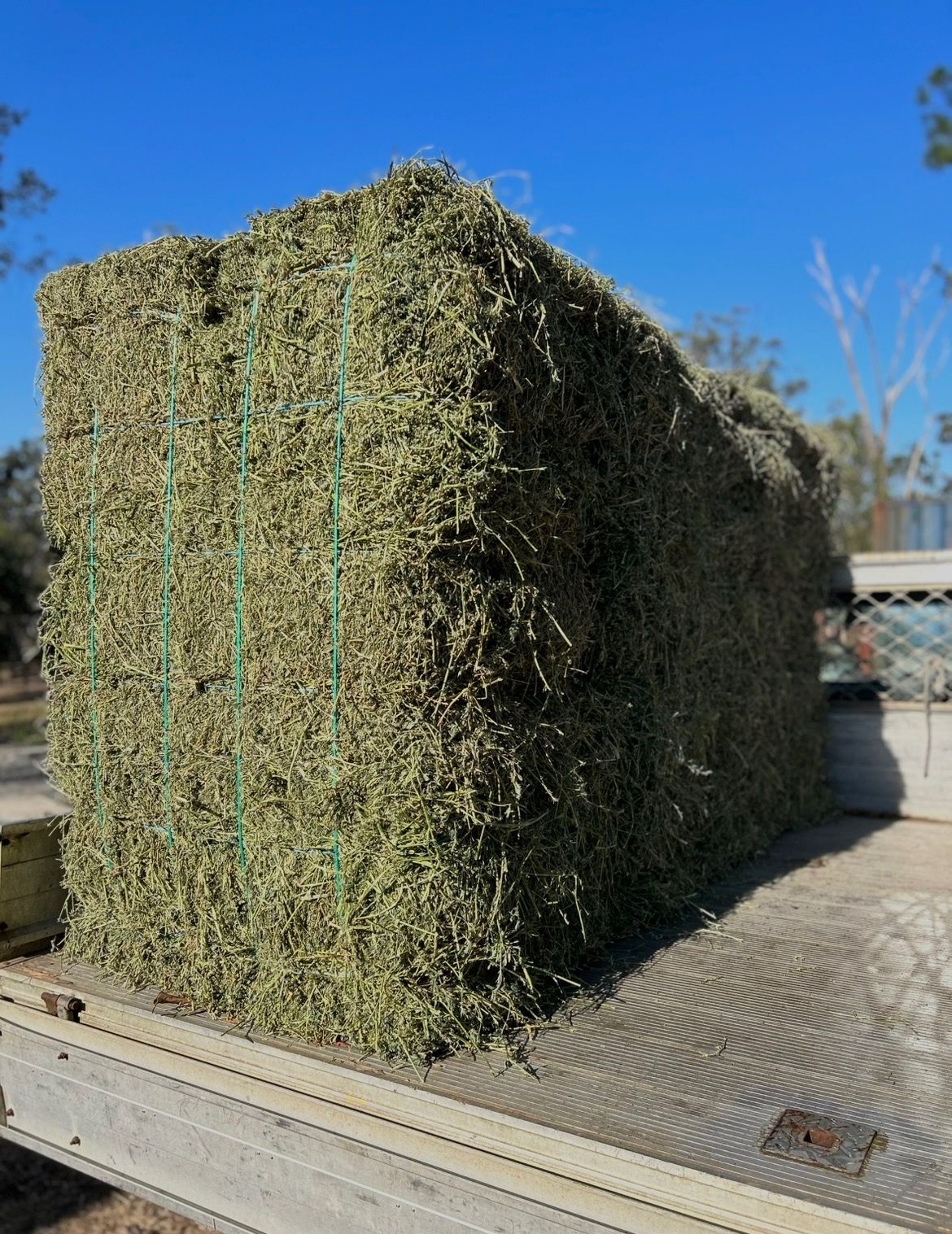 Large Rectangular Hay Bale Wrapped With Green Twine — Western Pacific Operations in Kremnos, NSW