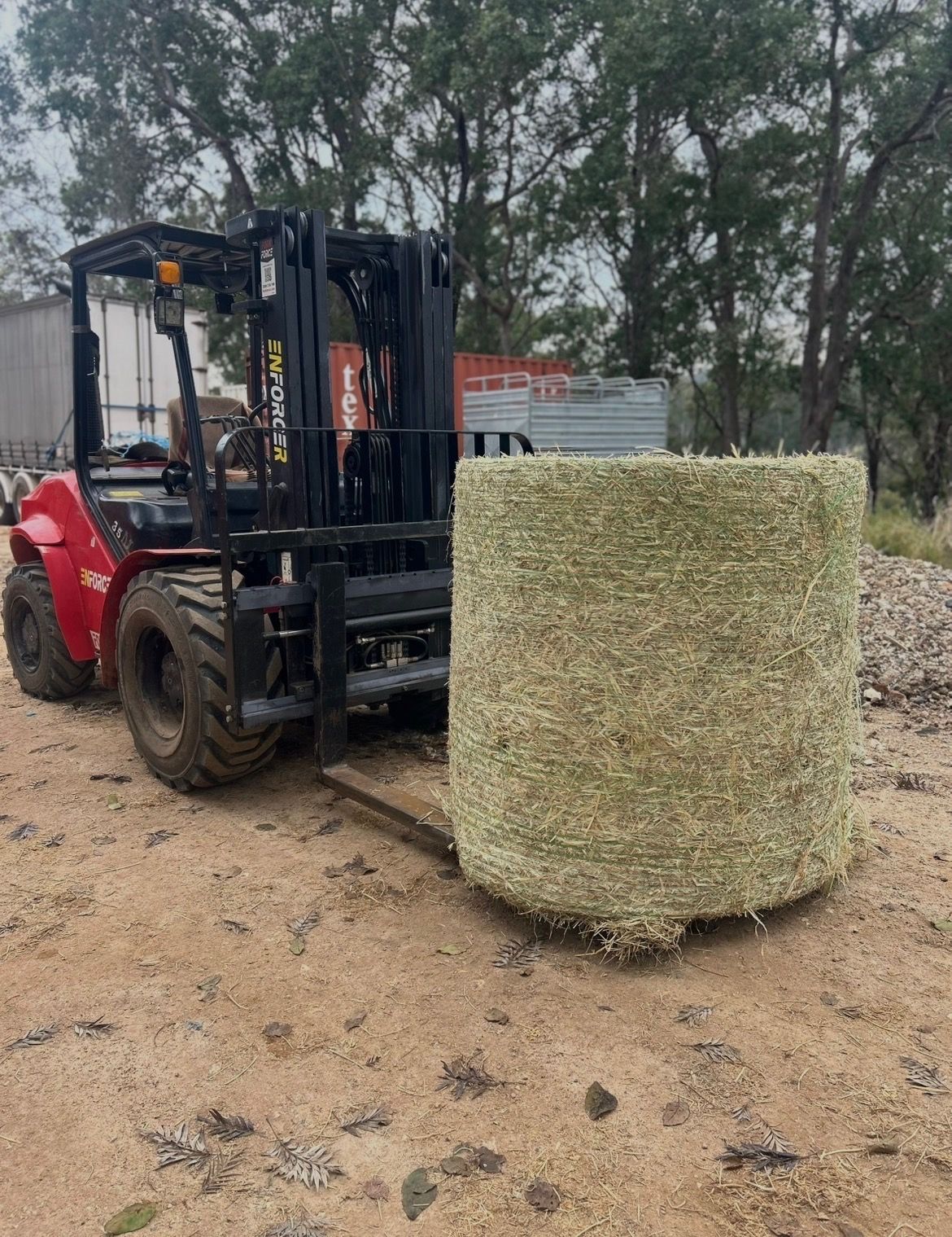 Red Forklift Carrying a Large Round Bale of Hay — Western Pacific Operations in Grafton, NSW