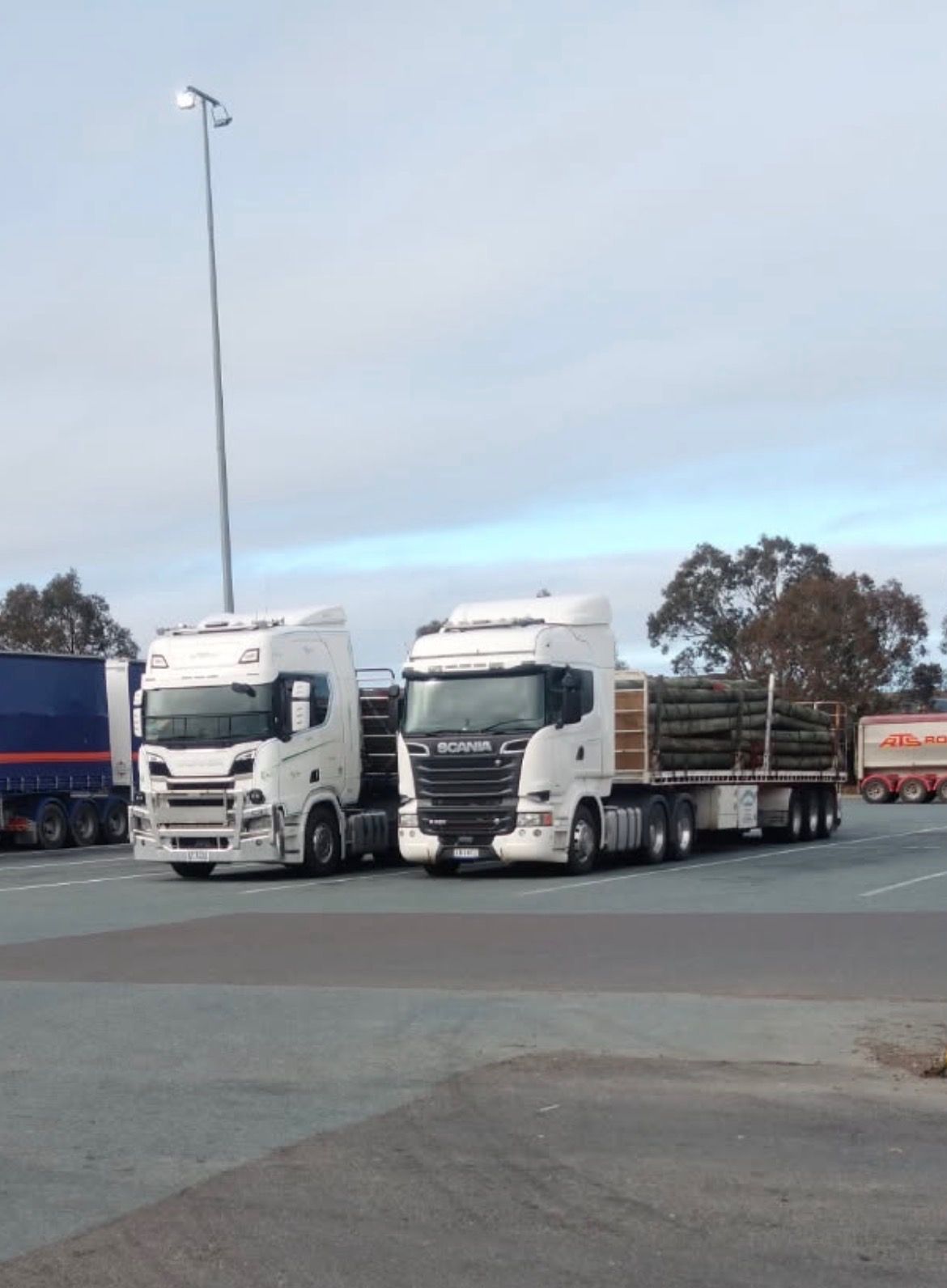 Two White Semi Trucks Parked Side by Side in a Lot — Western Pacific Operations in Kremnos, NSW