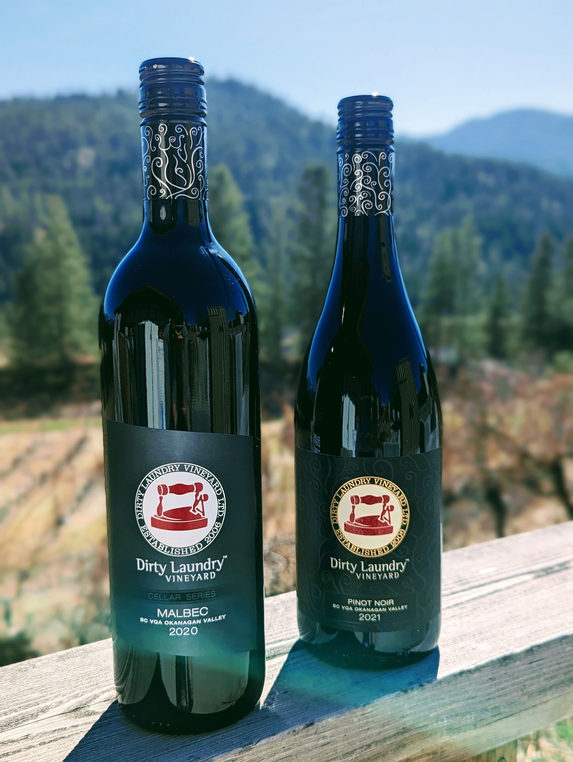 Two bottles of wine are sitting on a wooden railing.