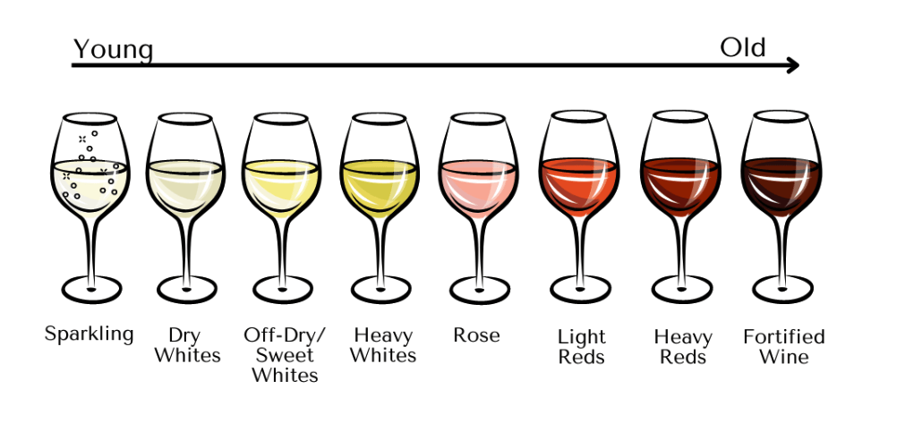 A row of wine glasses filled with different types of wine