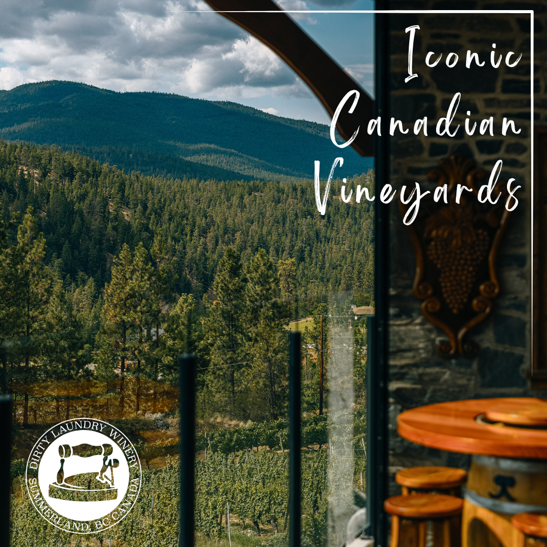 A picture of a canadian vineyard with mountains in the background