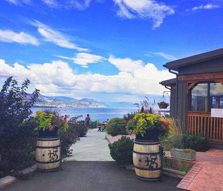 A row of barrels with flowers in them are in front of a building overlooking a body of water.