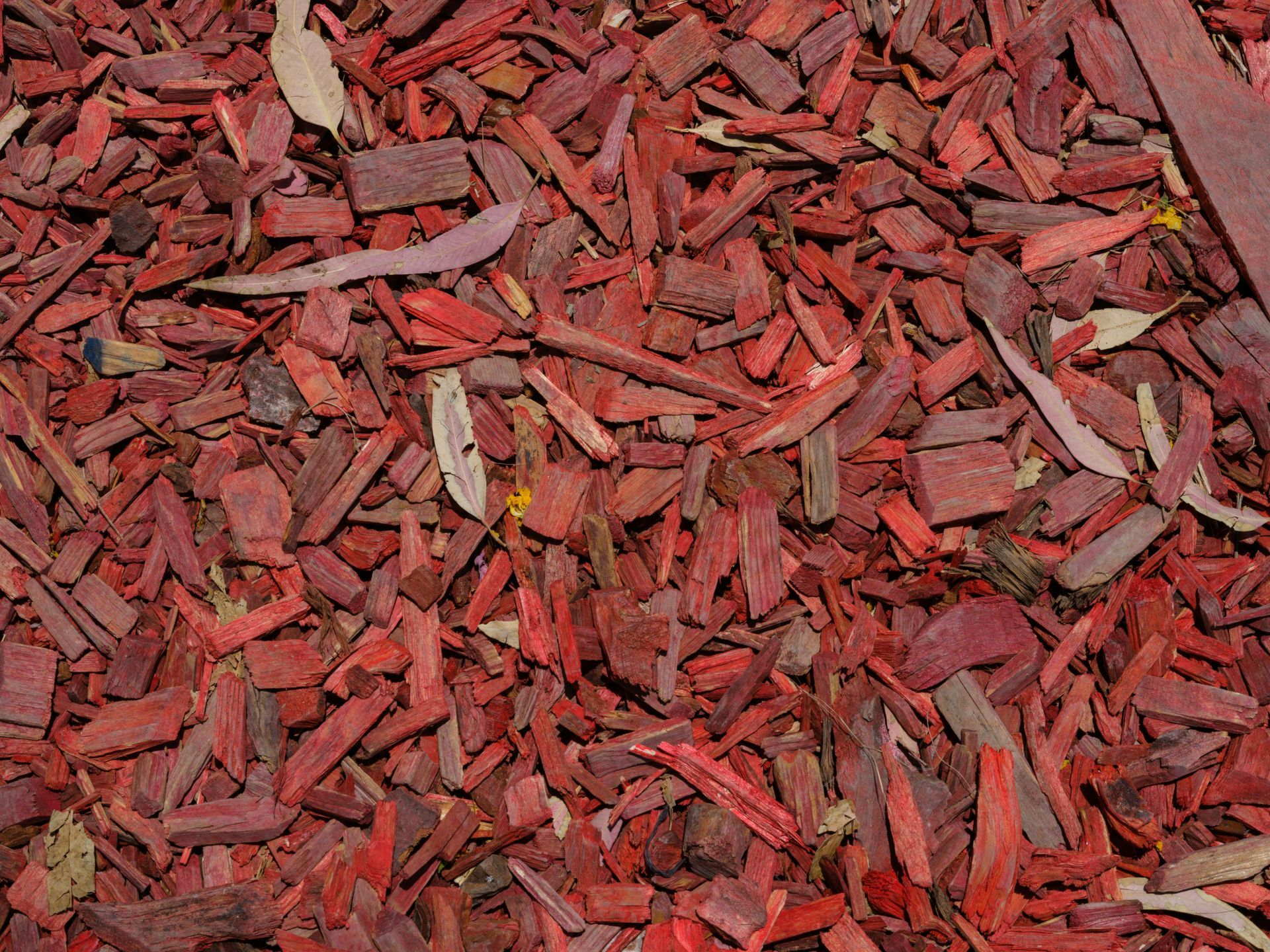 Red-colored wood chips covering a ground surface.