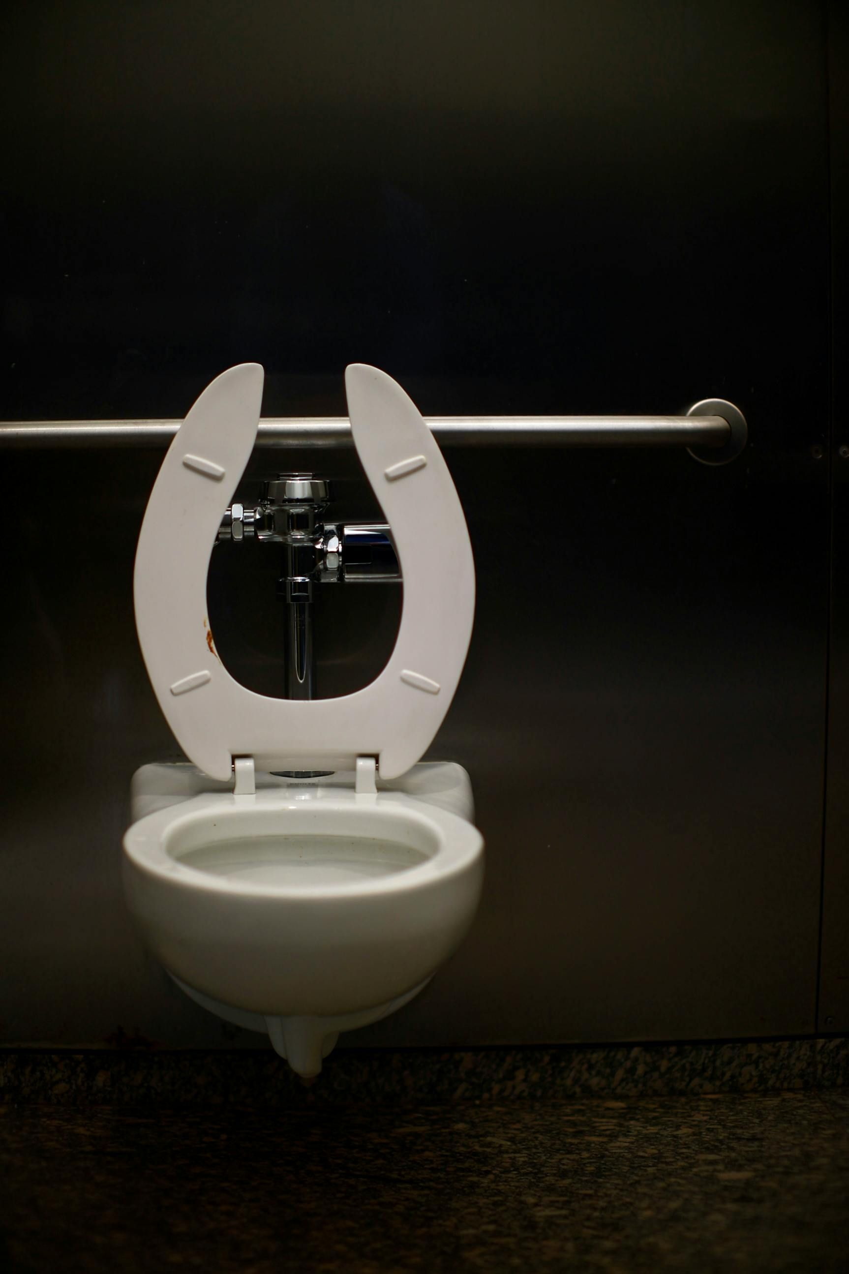 clogged toilet in castle rock colorado.