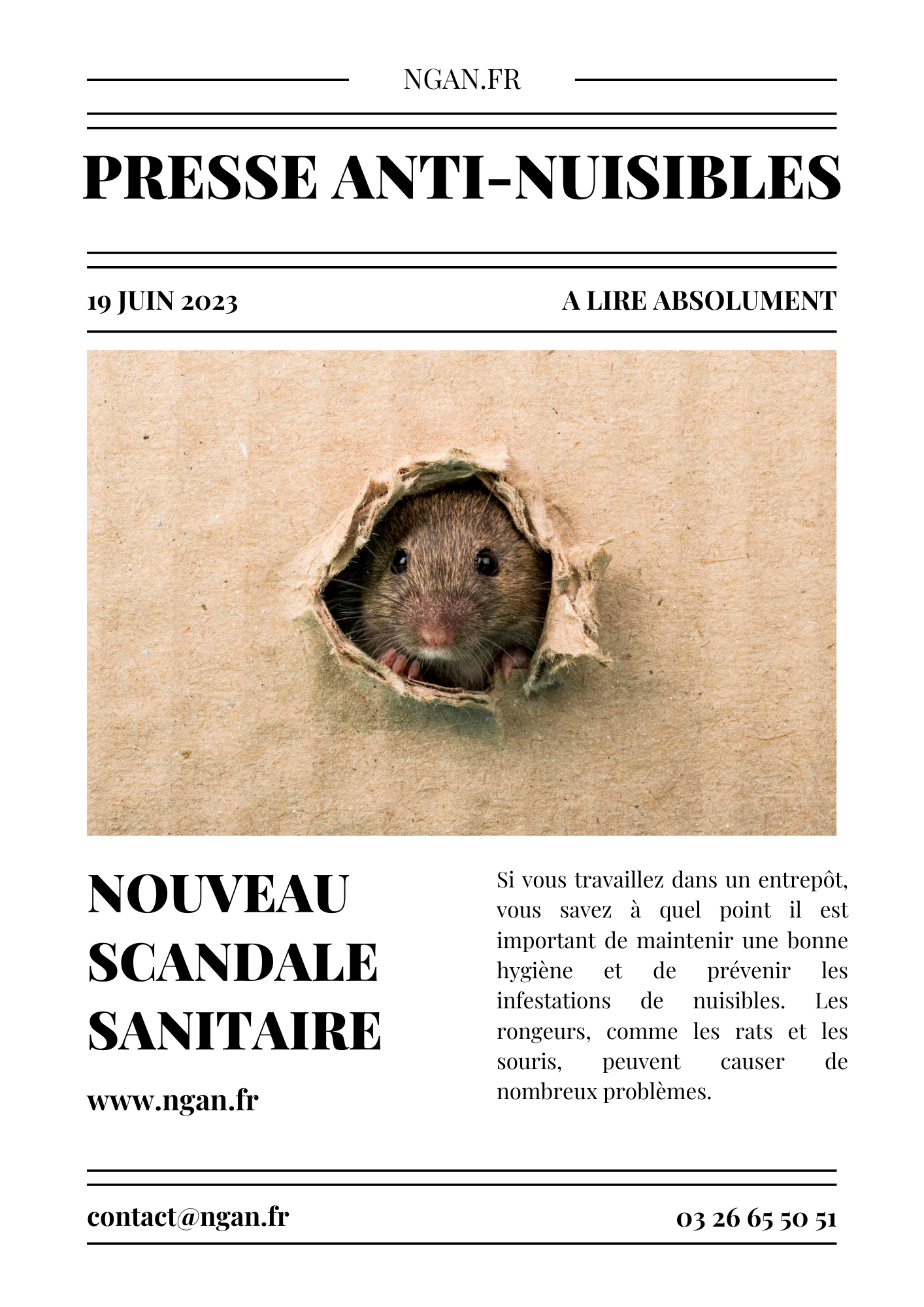 Une souris sort sa tête d'un trou dans un morceau de papier.