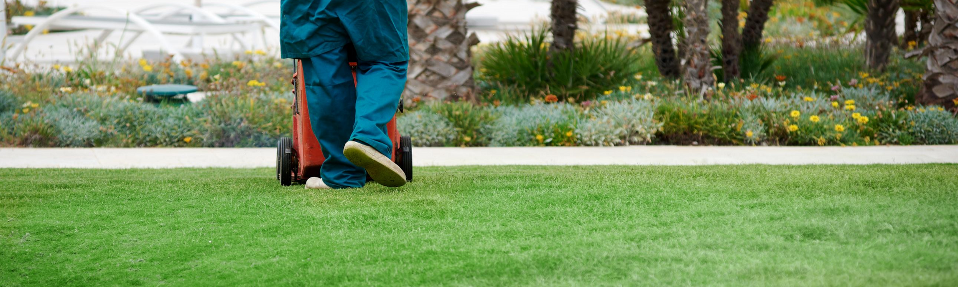 A person in blue pants pushing a red lawn mower across a green lawn near a flower bed.