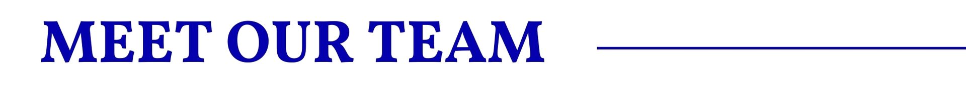 MEET OUR TEAM banner in dark blue text with a blue horizontal line on white background