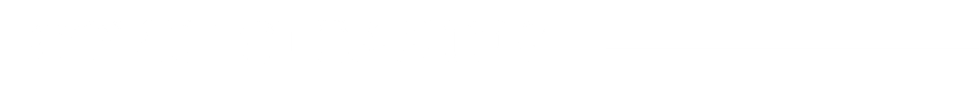 A long, narrow white horizontal bar with a thin blue line near the bottom.