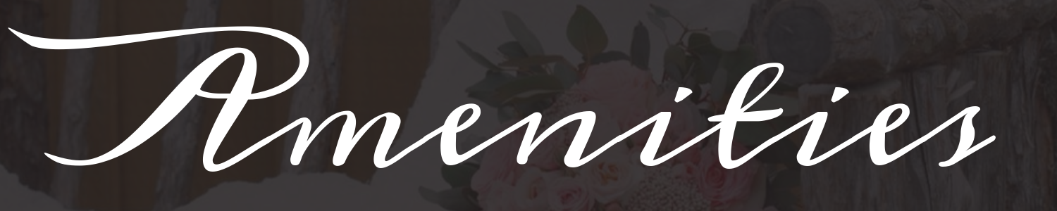 White cursive word “Amenities” on a gray background