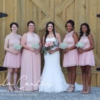 Five bridesmaids in blush dresses stand with the bride in a white gown in front of a wooden wall.