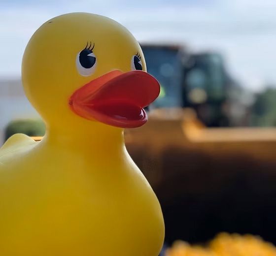 Yellow rubber duck with red beak, tractor in background.