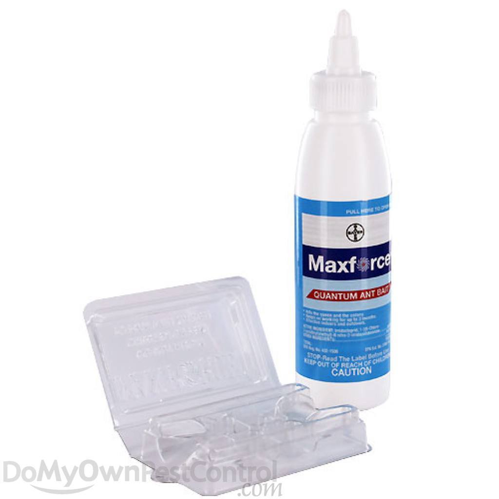 Une bouteille blanche d'appât anti-fourmis Maxforce Quantum à côté d'une station d'appât en plastique transparent vide.