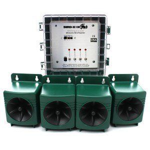 Un répulsif à oiseaux à ultrasons Bird-X avec un boîtier de commande central et quatre haut-parleurs externes verts, fixables au mur.