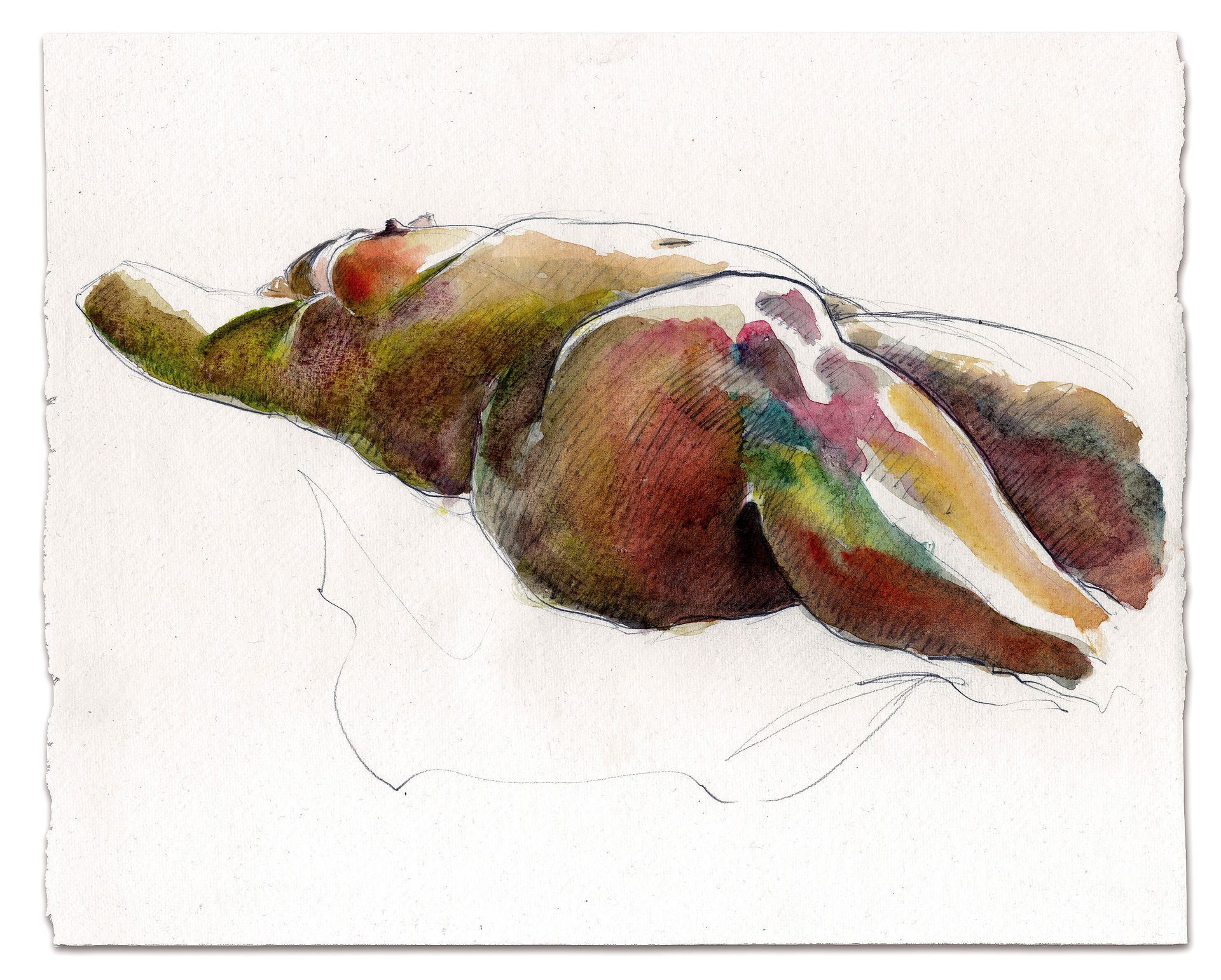 Nude female reclining 