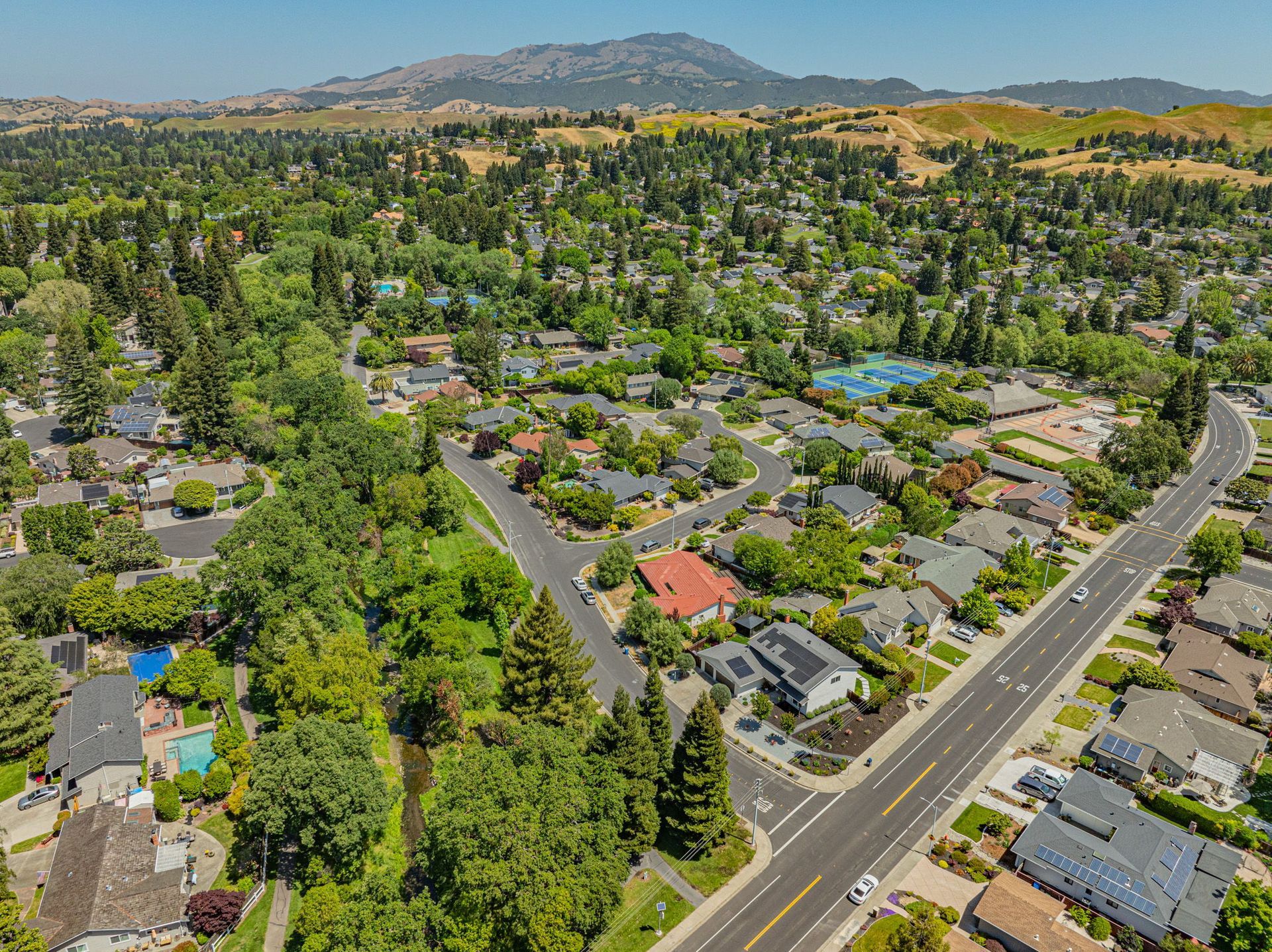Greater Danville Area real estate market
