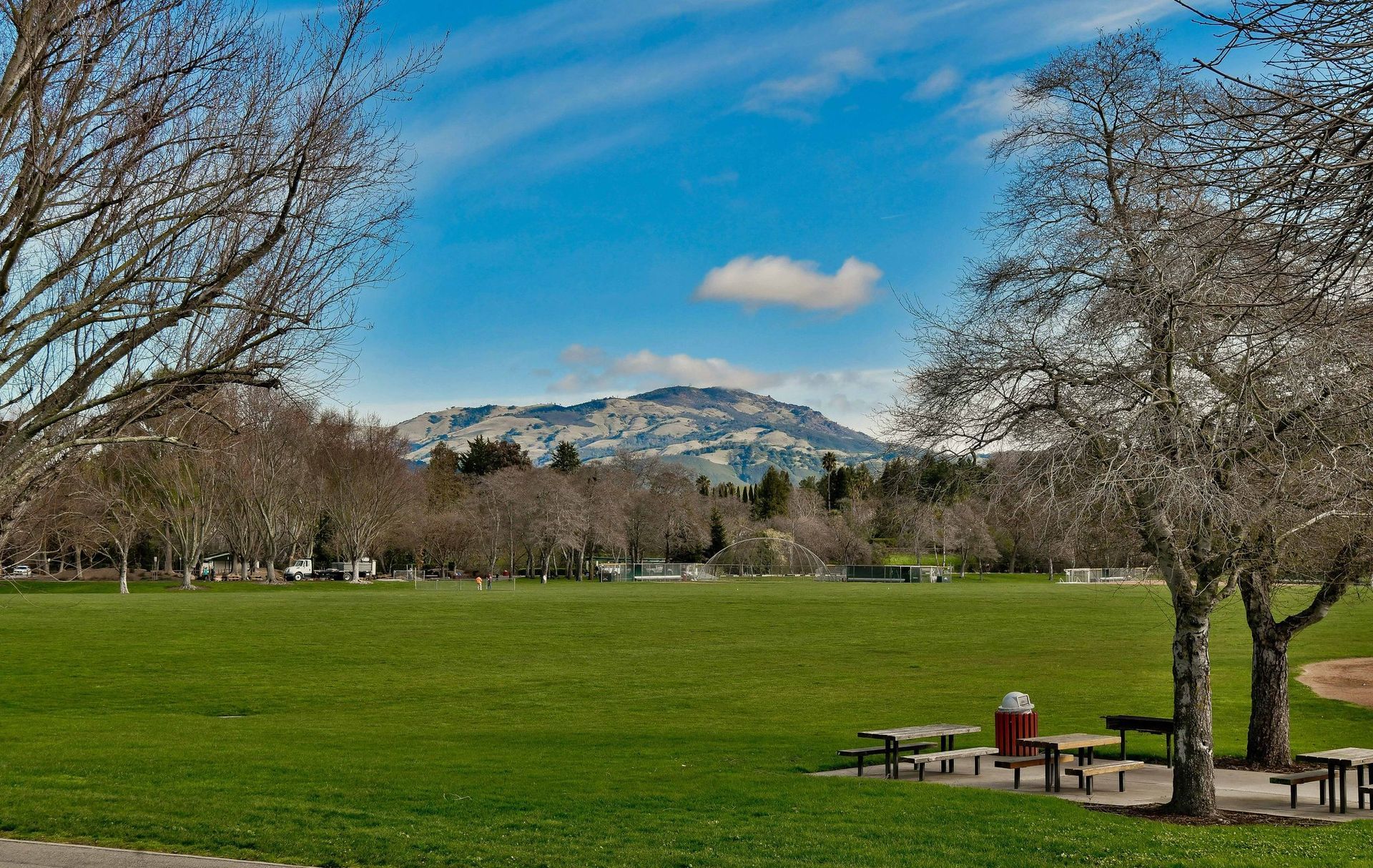 Luxury homes for sale in the Greenbrook neighborhood of Danville CA