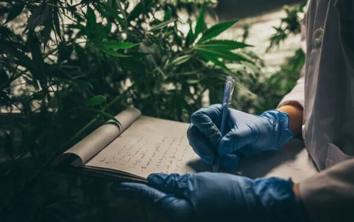 Blue-gloved hands writing in a notebook beside green plants