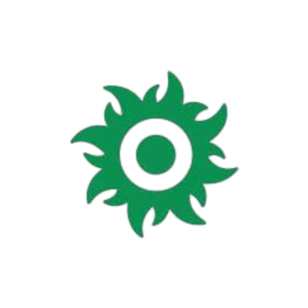 Green sun-like shape with a white circle center on a white background.
