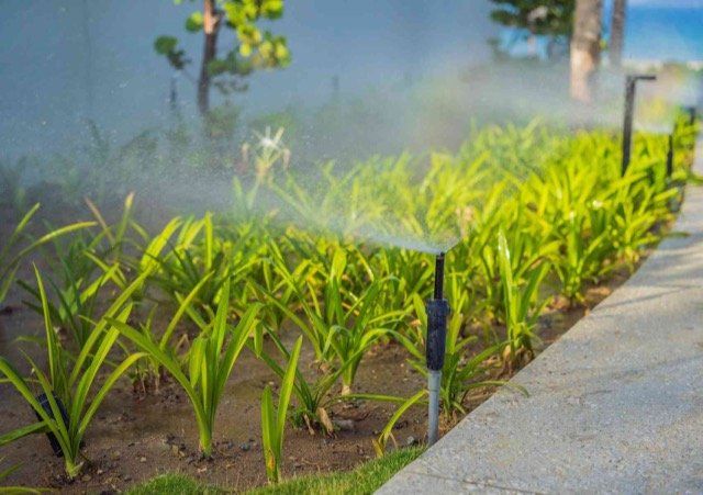 irrigation installation milton ON