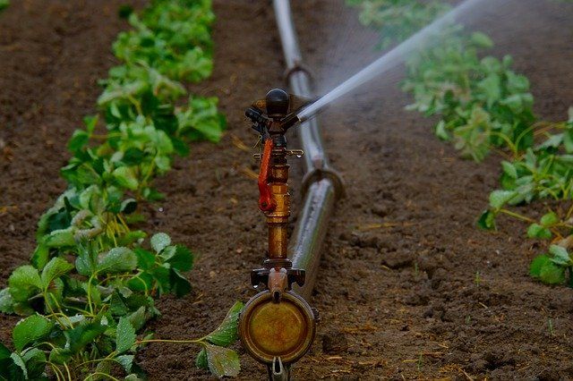 landscaping irrigation milton ON