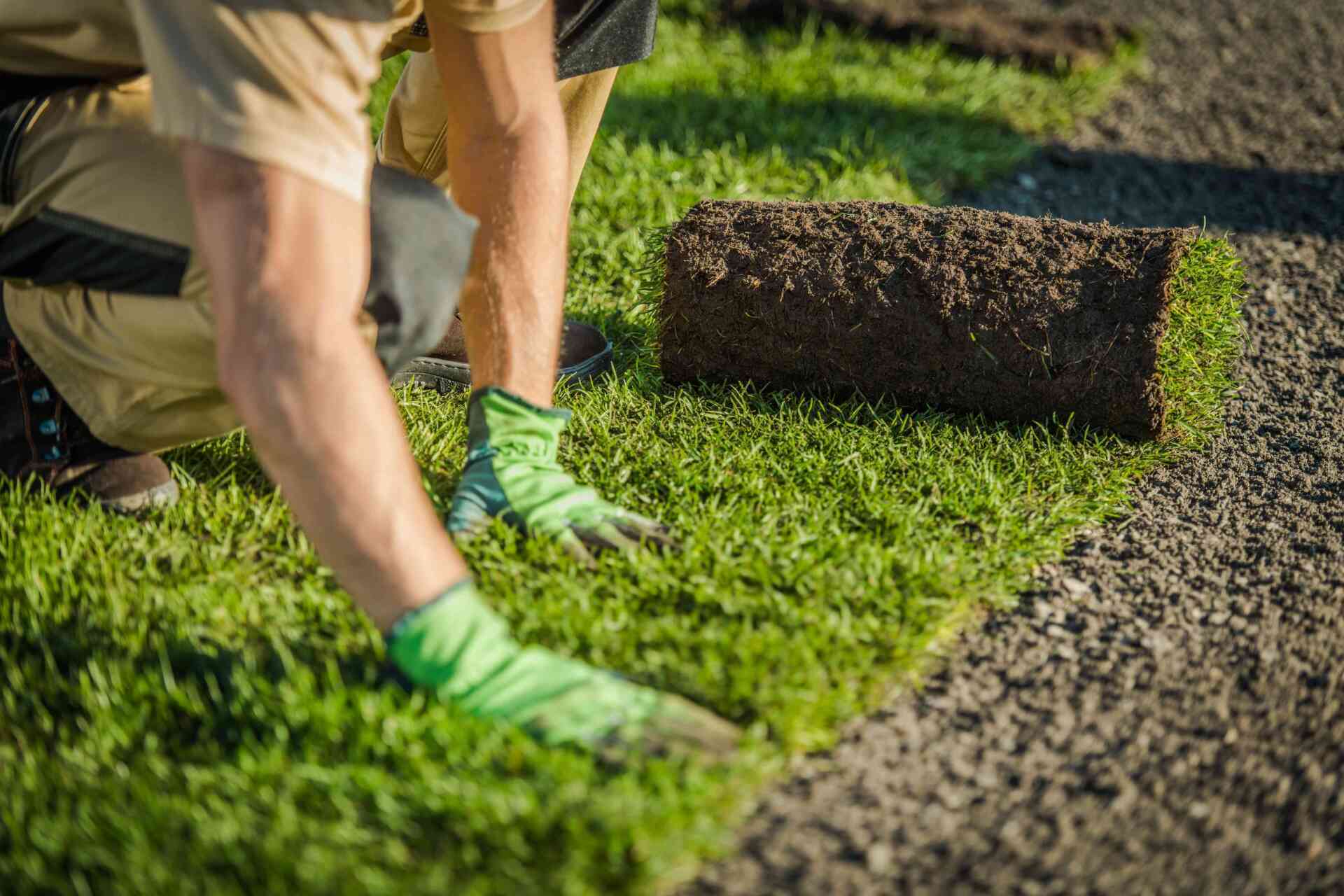 garden edging milton ON
