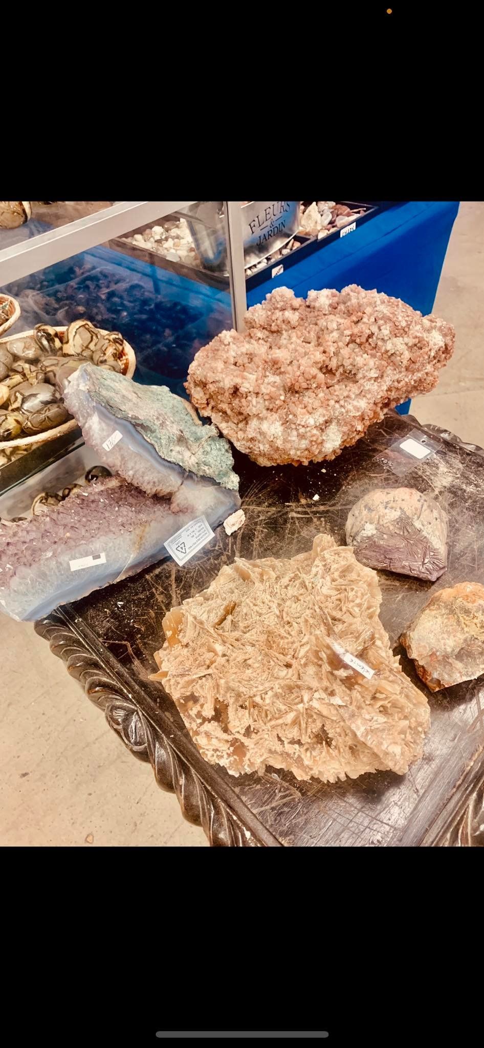 Rocks displayed on a decorative silver tray. Includes various textures and colors, with a blue background.