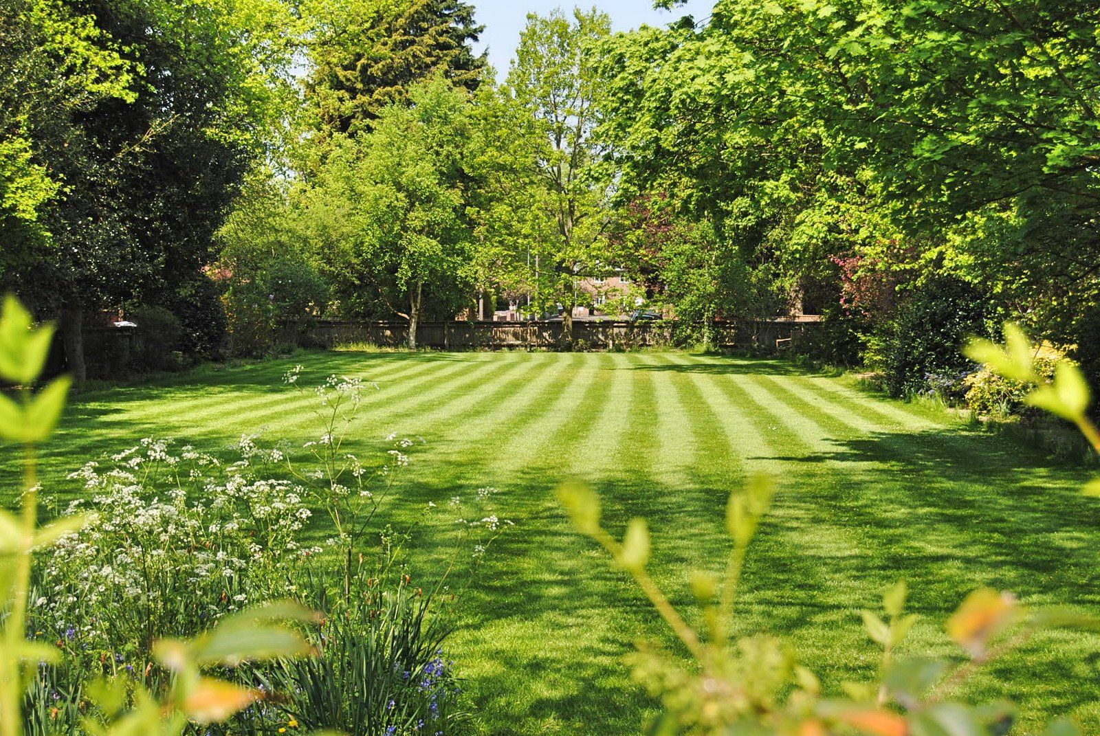 Striped green lawn in a garden surrounded by trees and foliage on a sunny day.