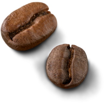 koffie amsterdam