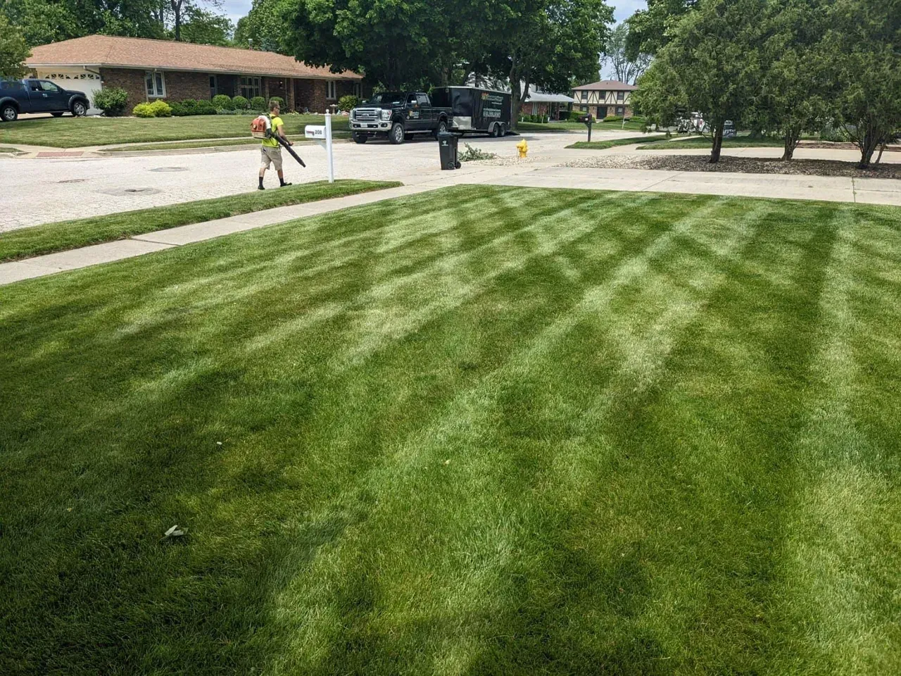 Man using a leaf blower on a freshly mowed lawn with stripes in a suburban setting.