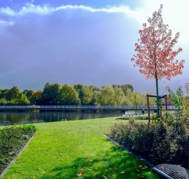 Park scene: pond, grassy area, trees with red and green foliage, bench, cloudy sky.