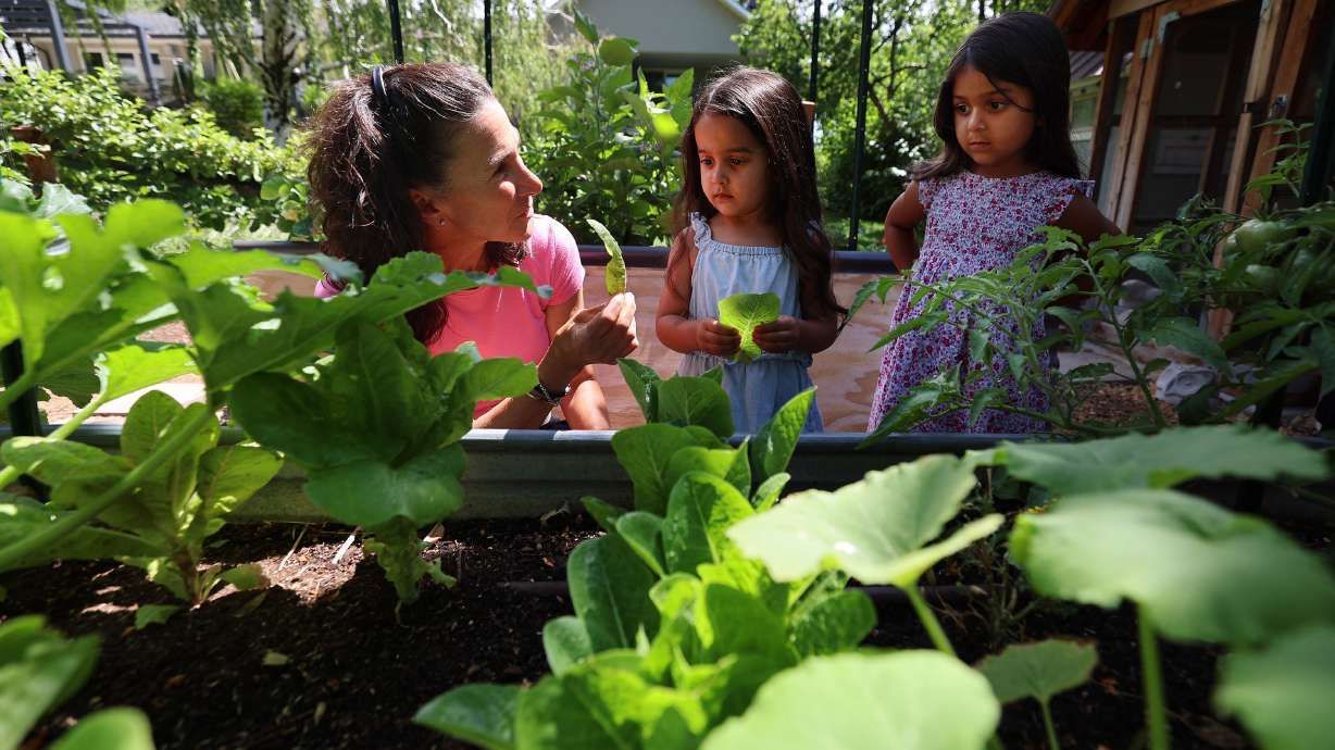 Woman and two children in a garden, examining green leafy plants. Sunlight, outdoor setting.