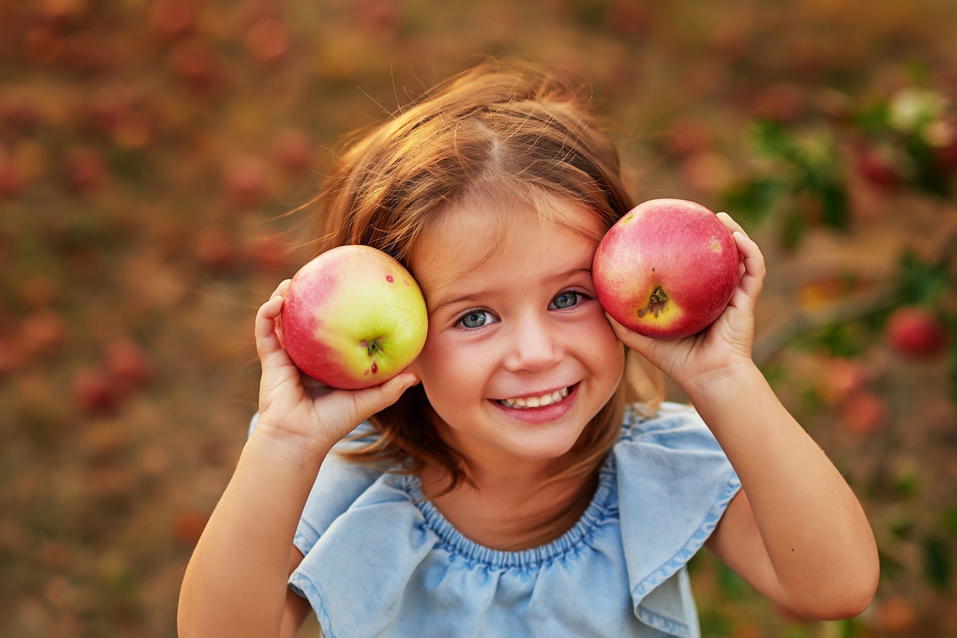 Child smiling and holding two apples in an orchard with autumn leaves