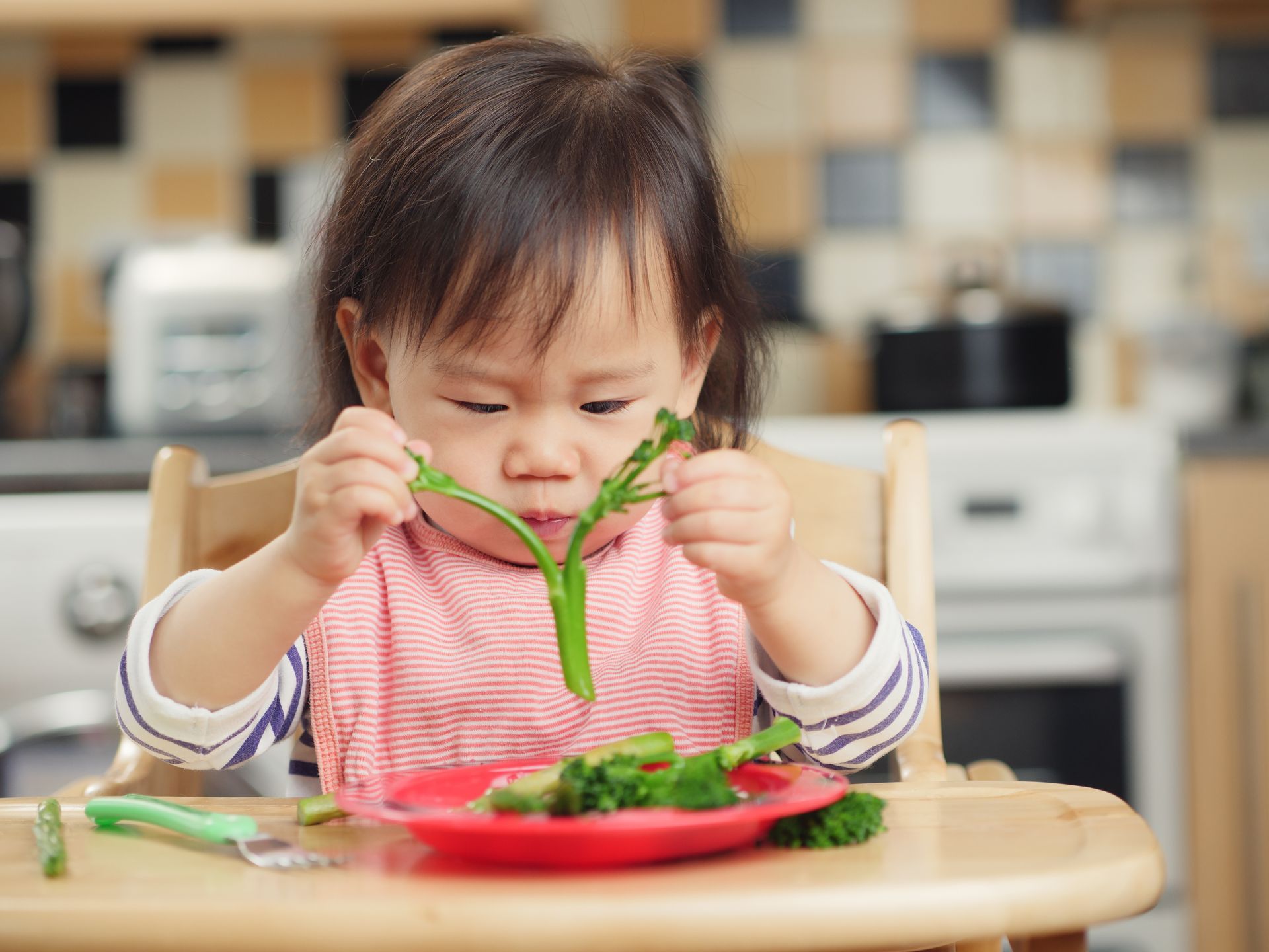 A toddler in a high chair examining a piece of green broccoli over a red plate in a kitchen.