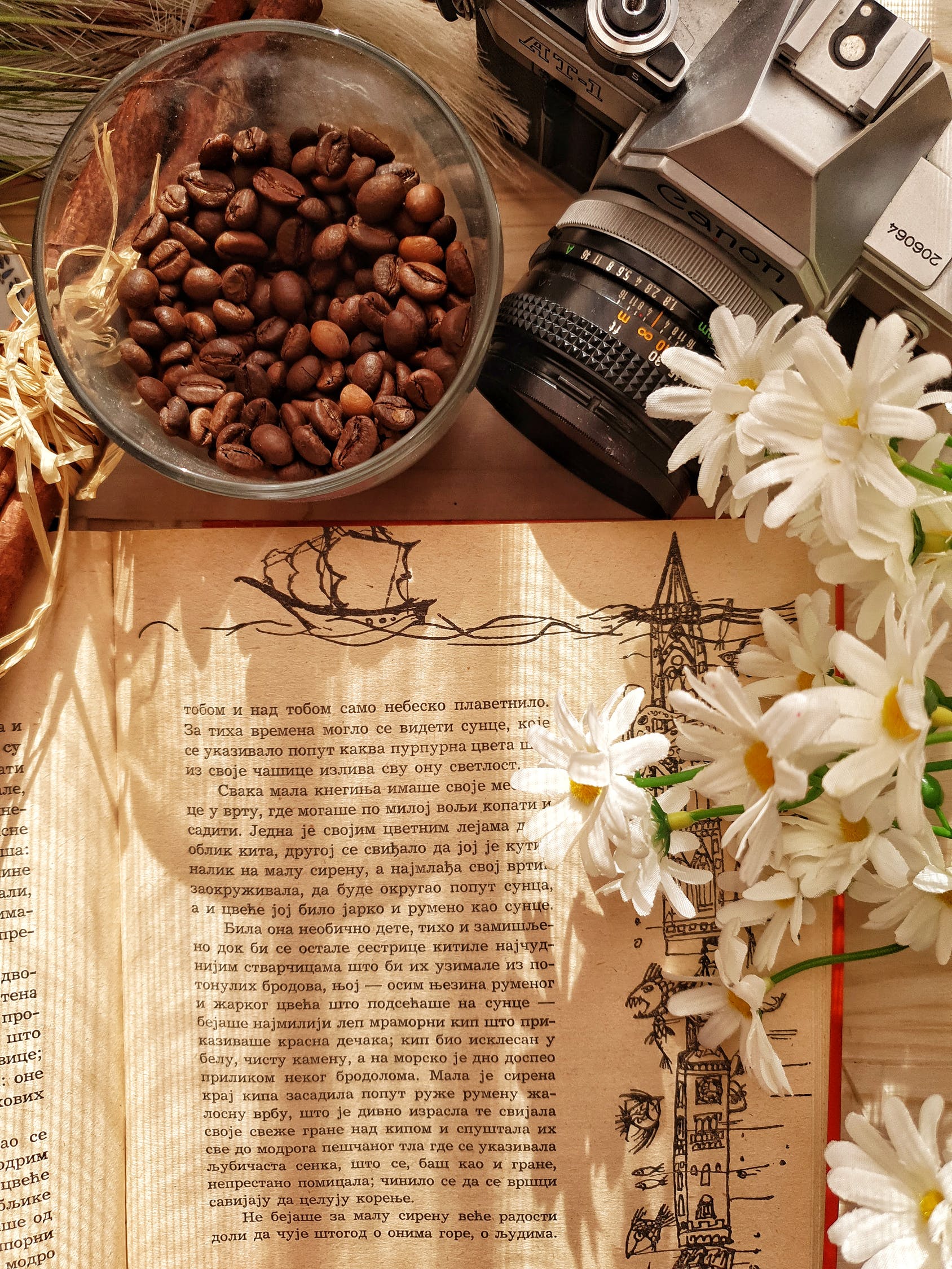 A bowl of coffee beans is sitting on top of a book next to a camera.