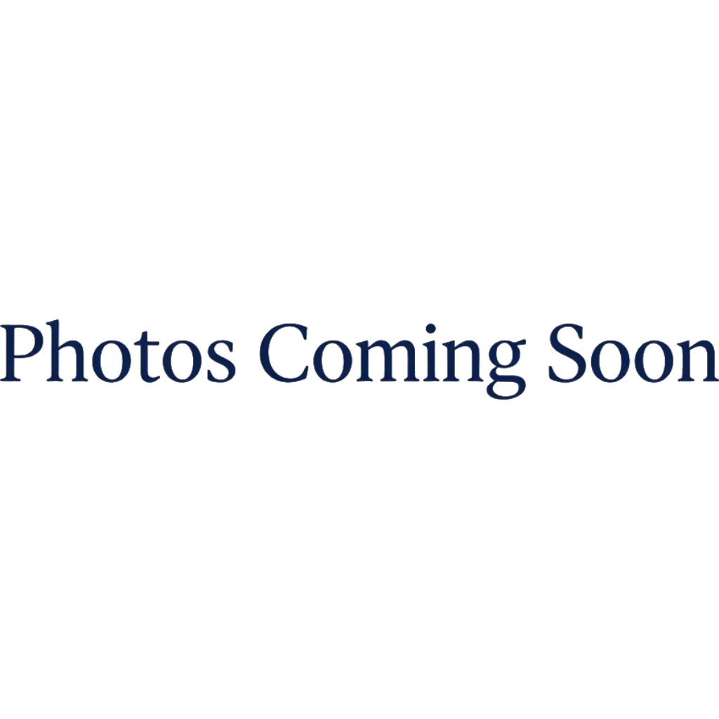 Photo place holder for the upcoming photos from a 2027 wedding.