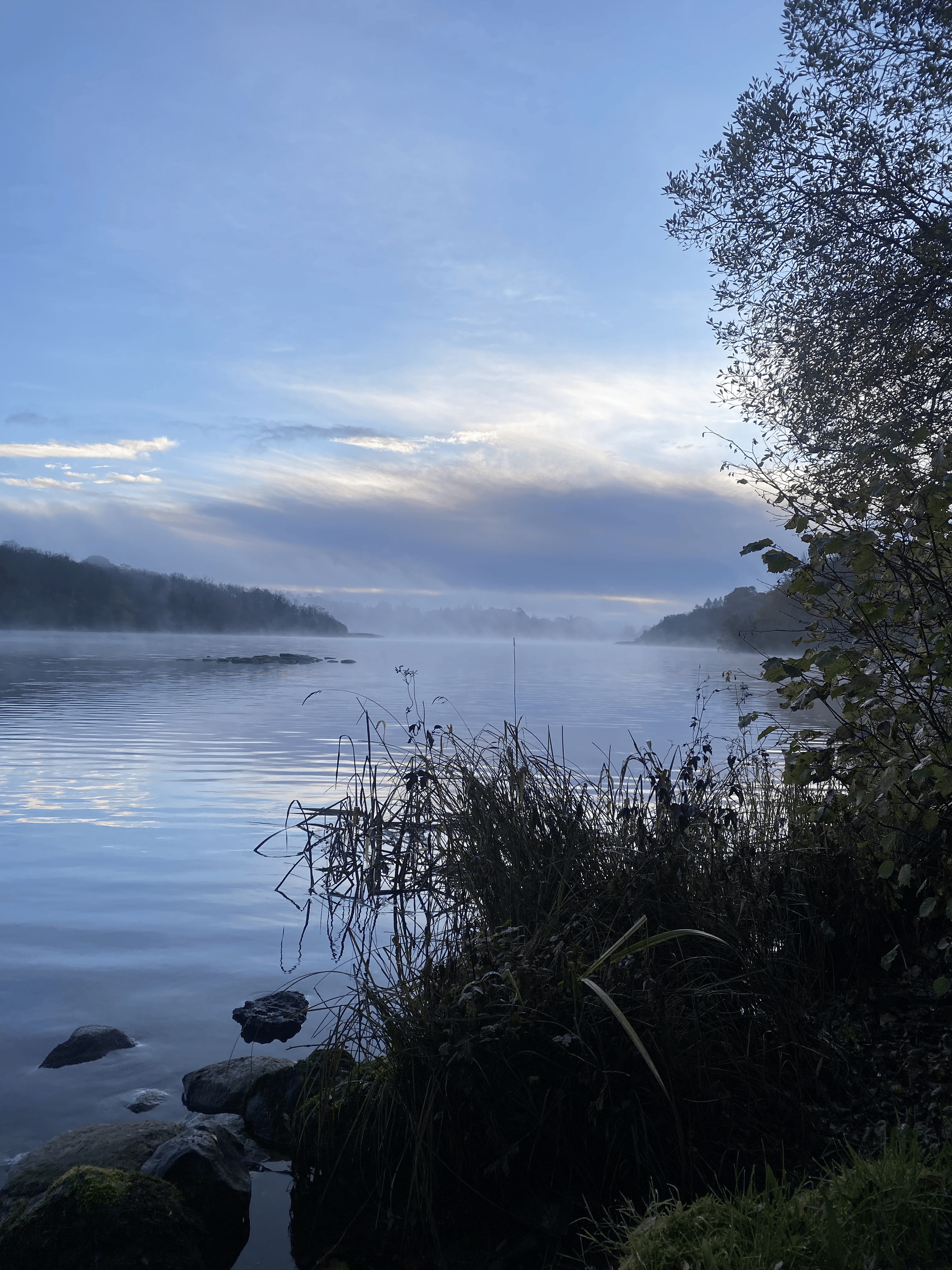 A foggy lake with trees and rocks in the foreground