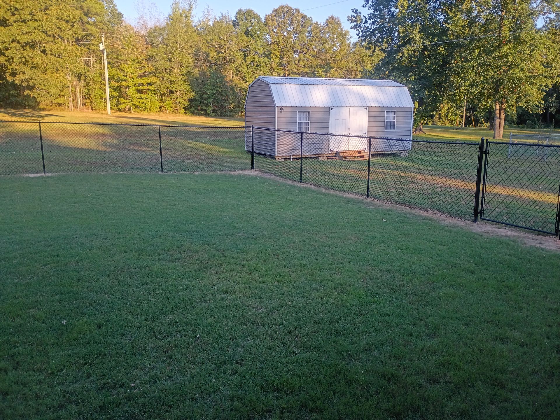 Grassy backyard with a chain-link fence and a small white shed in the distance at sunset