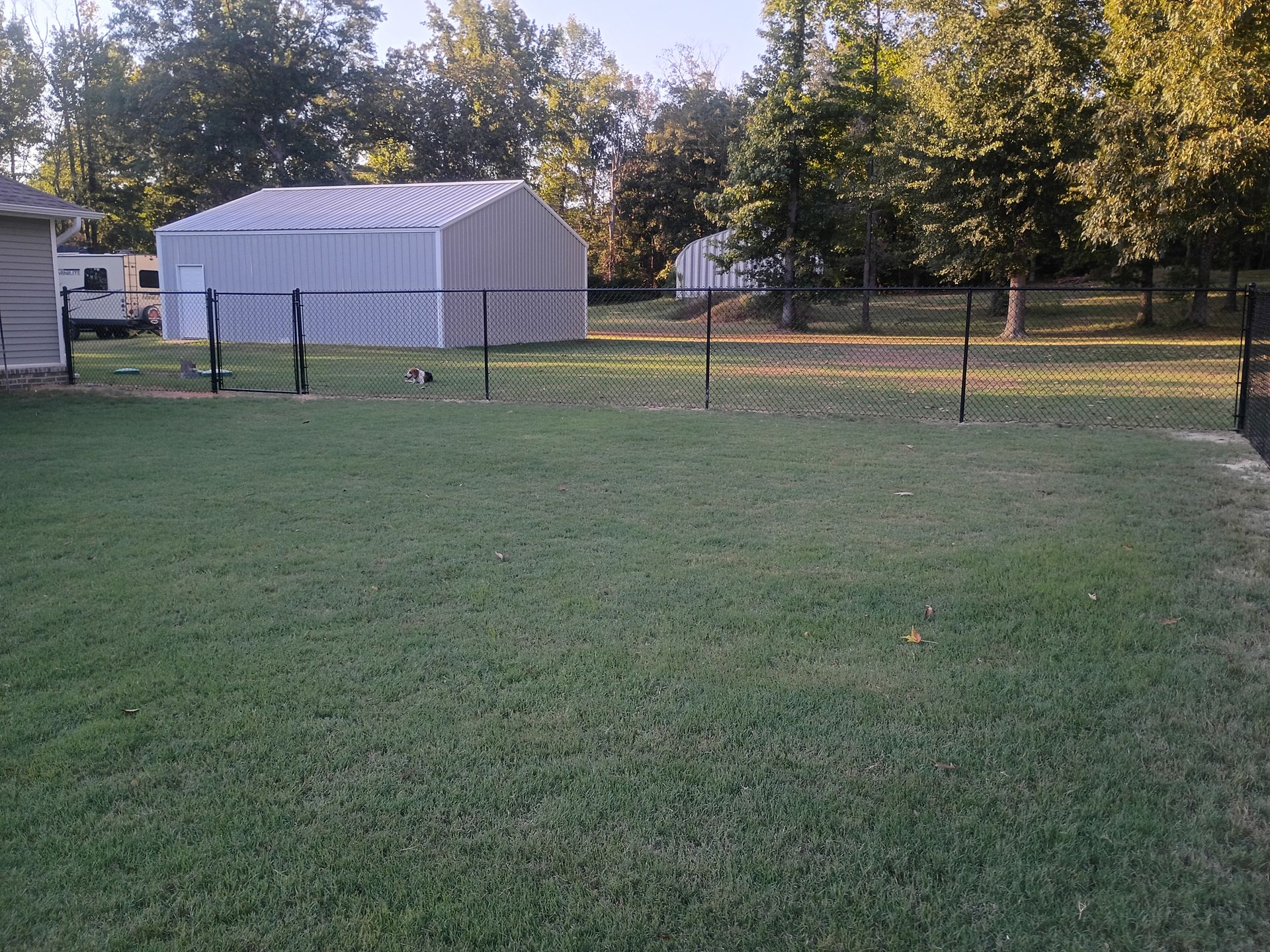 Grassy yard with a chain-link fence, white tent, and trees in the background at dusk