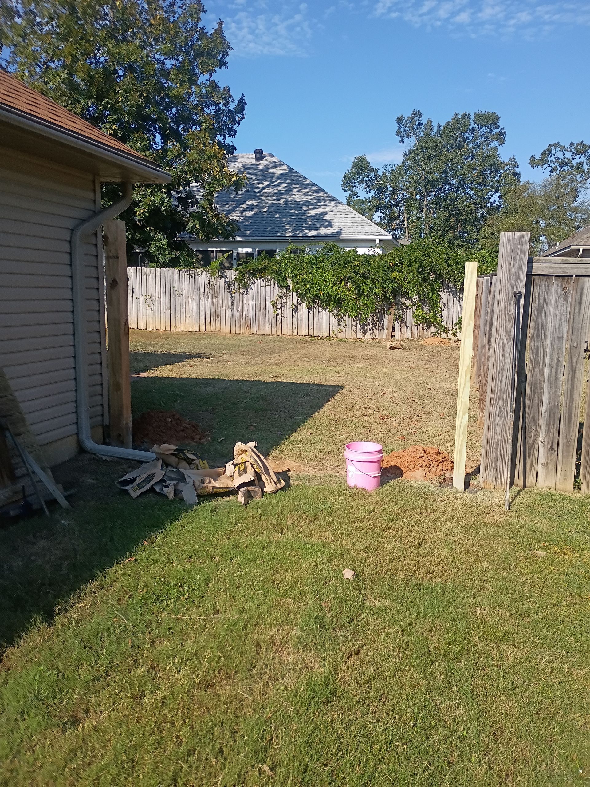 Small backyard with a white fence, shed, trees, and a pink bucket on the grass near two small dogs.