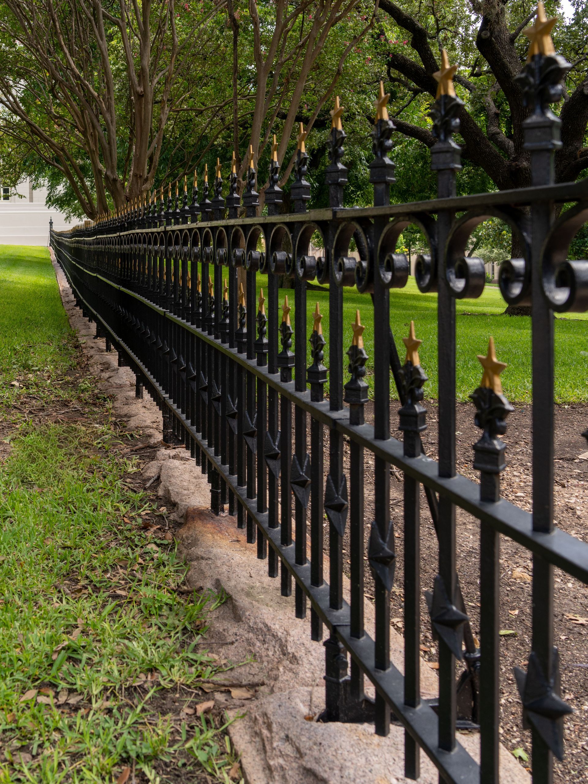 Black wrought-iron fence lining a grassy path under trees in a park