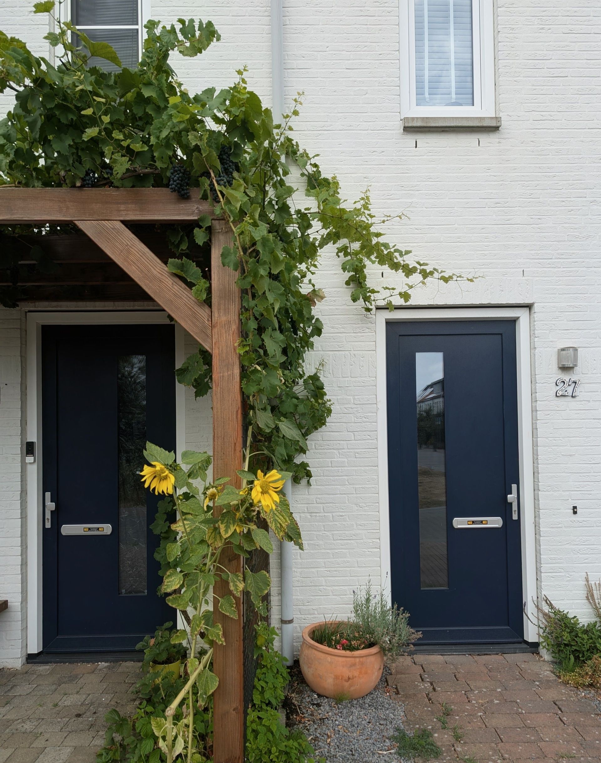 Front of a white brick house with two dark blue doors, a wooden porch frame, and potted plants.